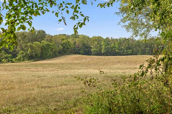 37.3 Acres of Land for Sale in Cedar Hill, Tennessee