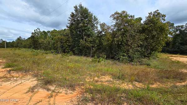 1.66 Acres of Residential Land for Sale in Marianna, Florida