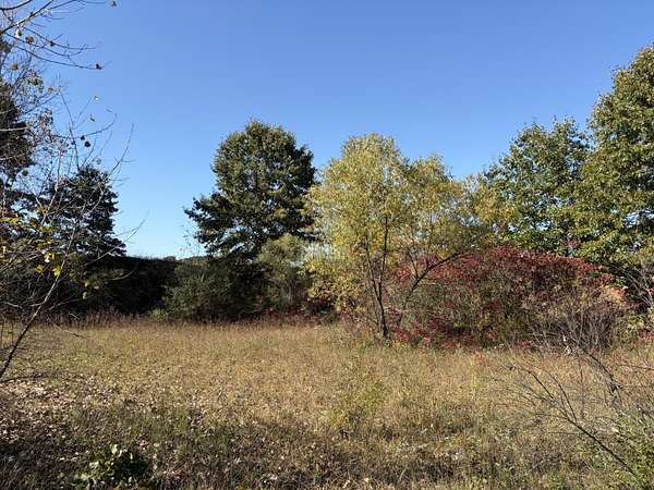 3 Acres of Land for Sale in Gobles, Michigan