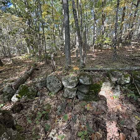 65 Acres of Recreational Land for Sale in Washington, Maine