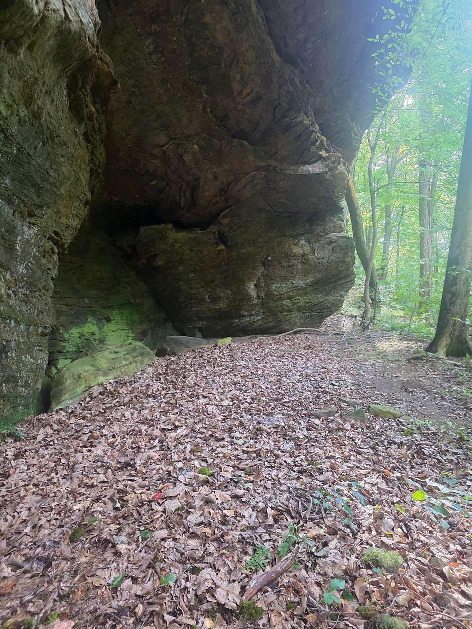 149 Acres of Recreational Land for Sale in Shoals, Indiana
