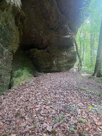 149 Acres of Recreational Land for Sale in Shoals, Indiana