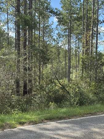 2 Acres of Land for Sale in Poplarville, Mississippi