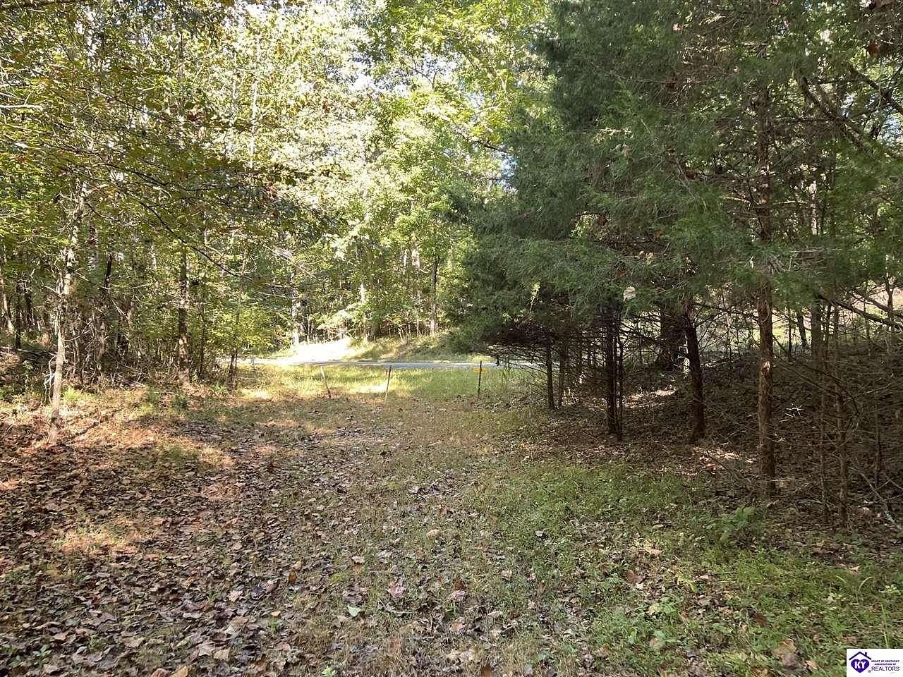 84.7 Acres of Land for Sale in Bonnieville, Kentucky