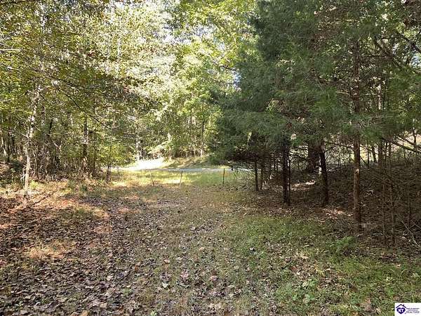 84.7 Acres of Land for Sale in Bonnieville, Kentucky