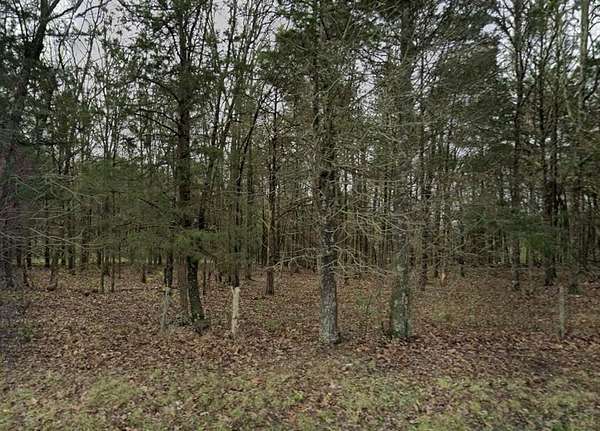 157 Acres of Land for Sale in Hermitage, Missouri