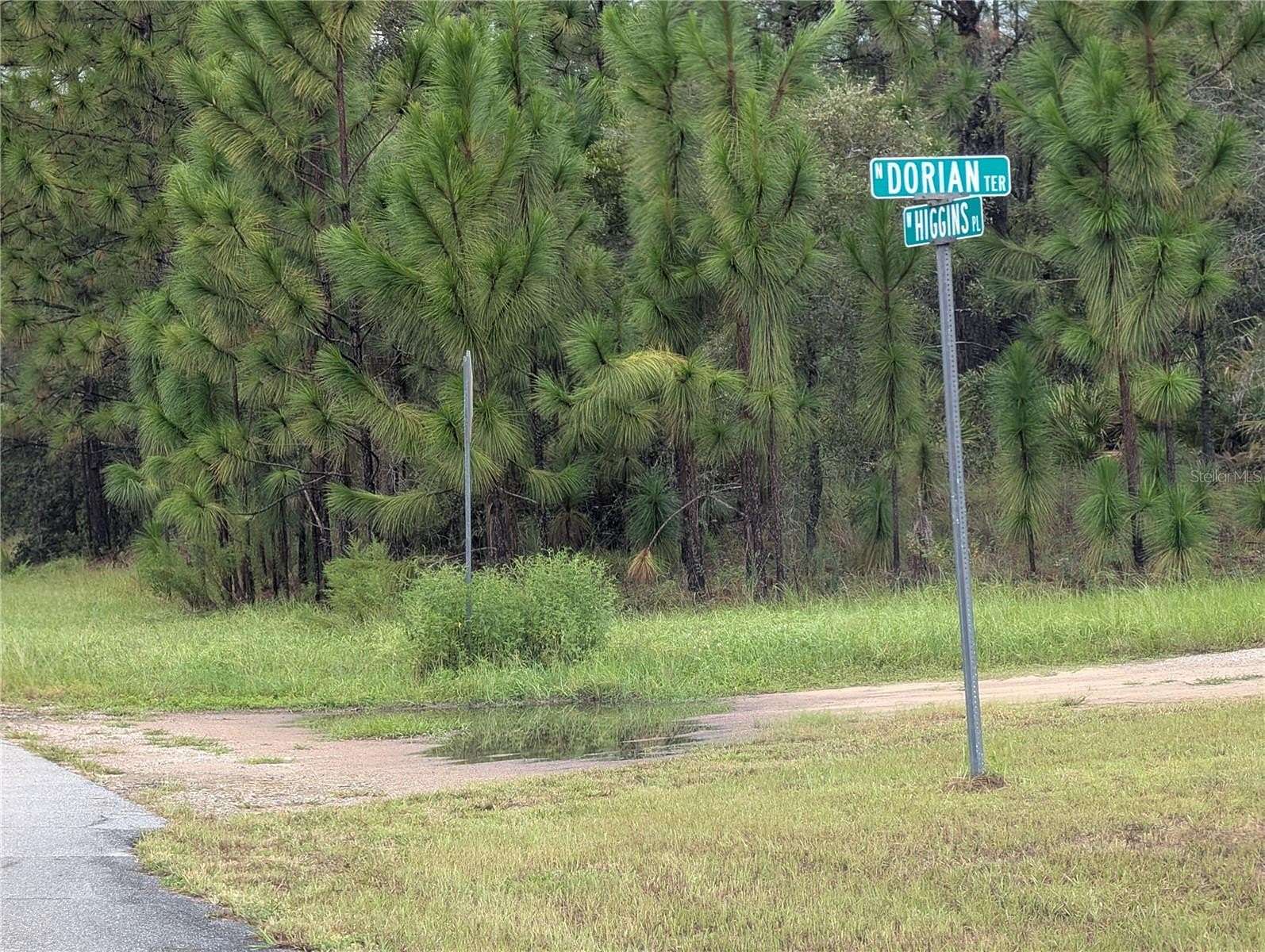 0.3 Acres of Residential Land for Sale in Dunnellon, Florida