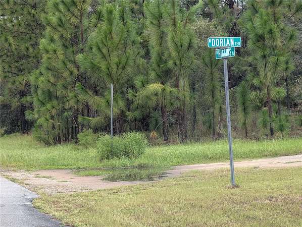0.3 Acres of Residential Land for Sale in Dunnellon, Florida