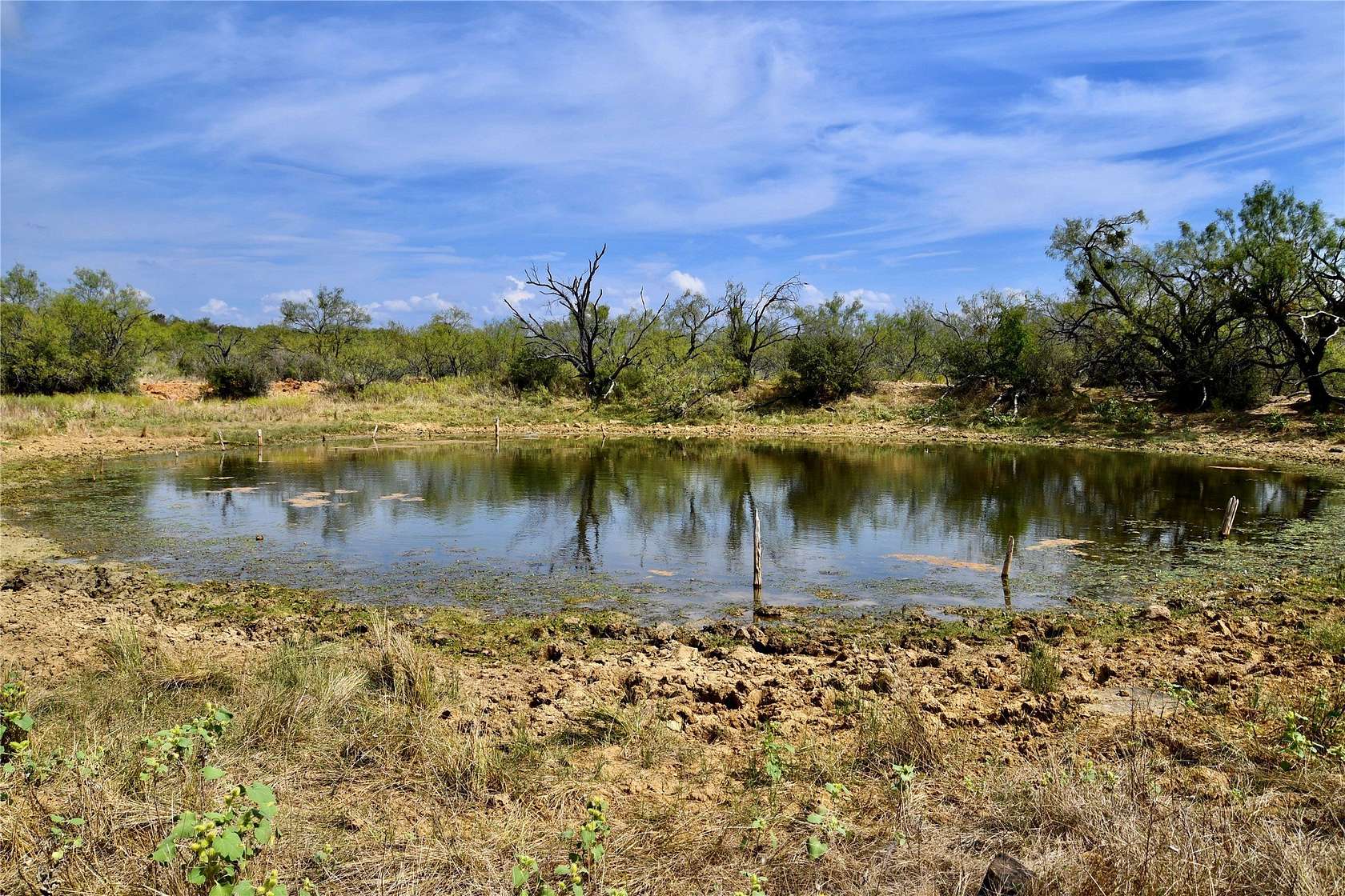 60 Acres of Land for Sale in Mullin, Texas