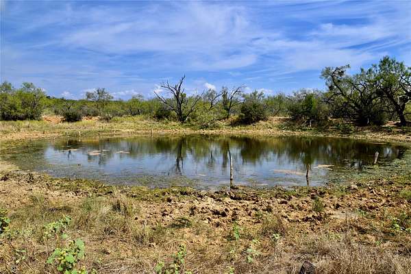 60 Acres of Land for Sale in Mullin, Texas