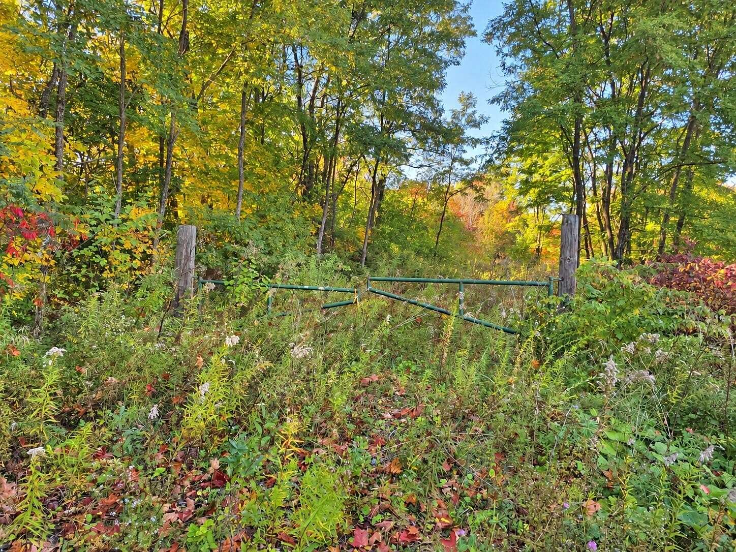 65 Acres of Recreational & Residential Land for Sale in Hampden, Maine