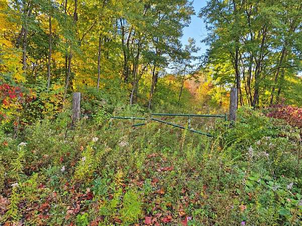 65 Acres of Recreational & Residential Land for Sale in Hampden, Maine