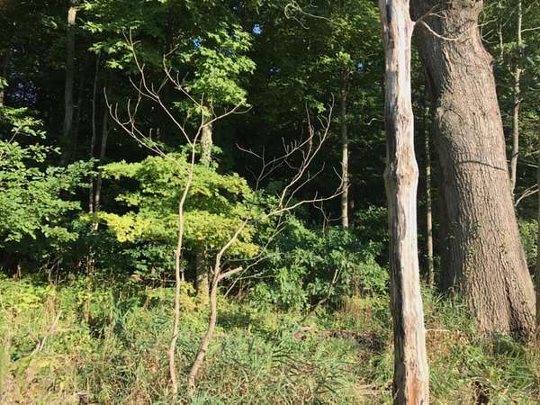 10 Acres of Recreational Land for Sale in Decatur, Michigan