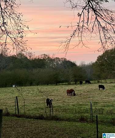 5.56 Acres of Land with Home for Sale in Graham, Alabama
