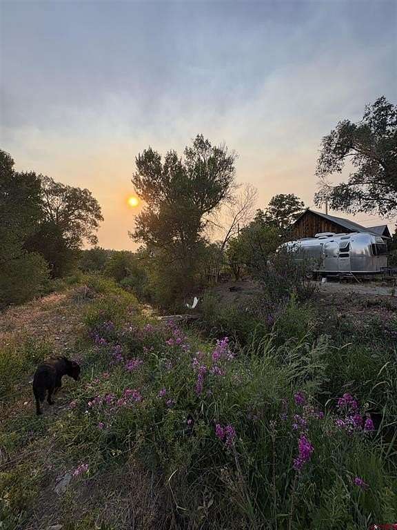 0.29 Acres of Land for Sale in Crawford, Colorado