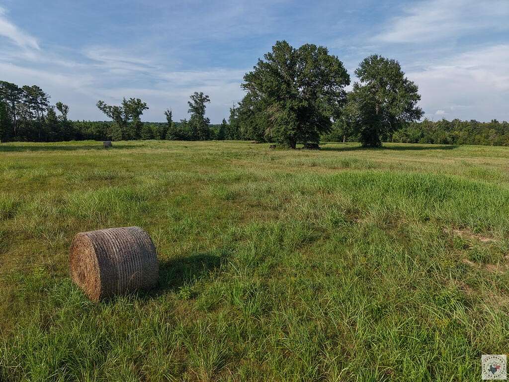 52.9 Acres of Land for Sale in Linden, Texas
