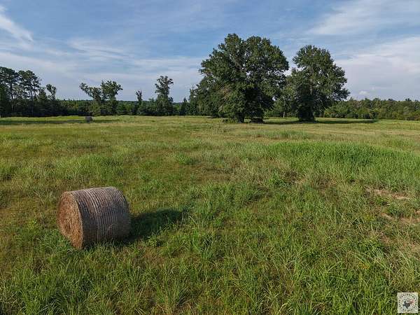 52.9 Acres of Land for Sale in Linden, Texas