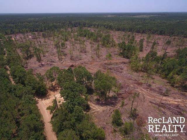 80 Acres of Land for Sale in Kelly, Louisiana