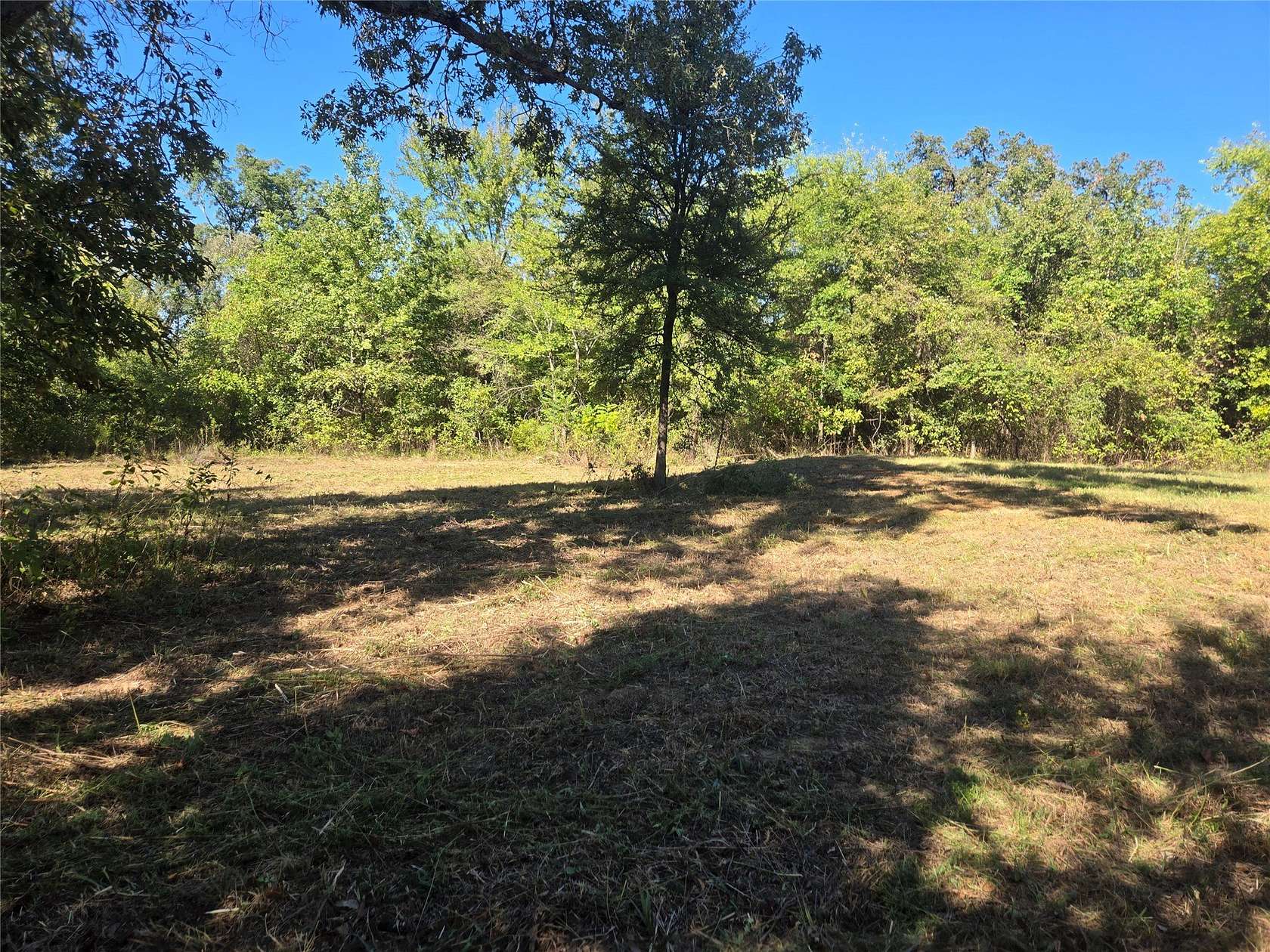 12.6 Acres of Land for Sale in Mount Pleasant, Texas