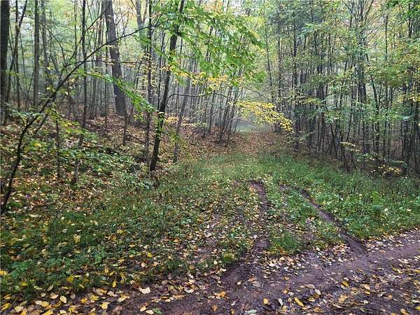 9.13 Acres of Land for Sale in Laurens, New York