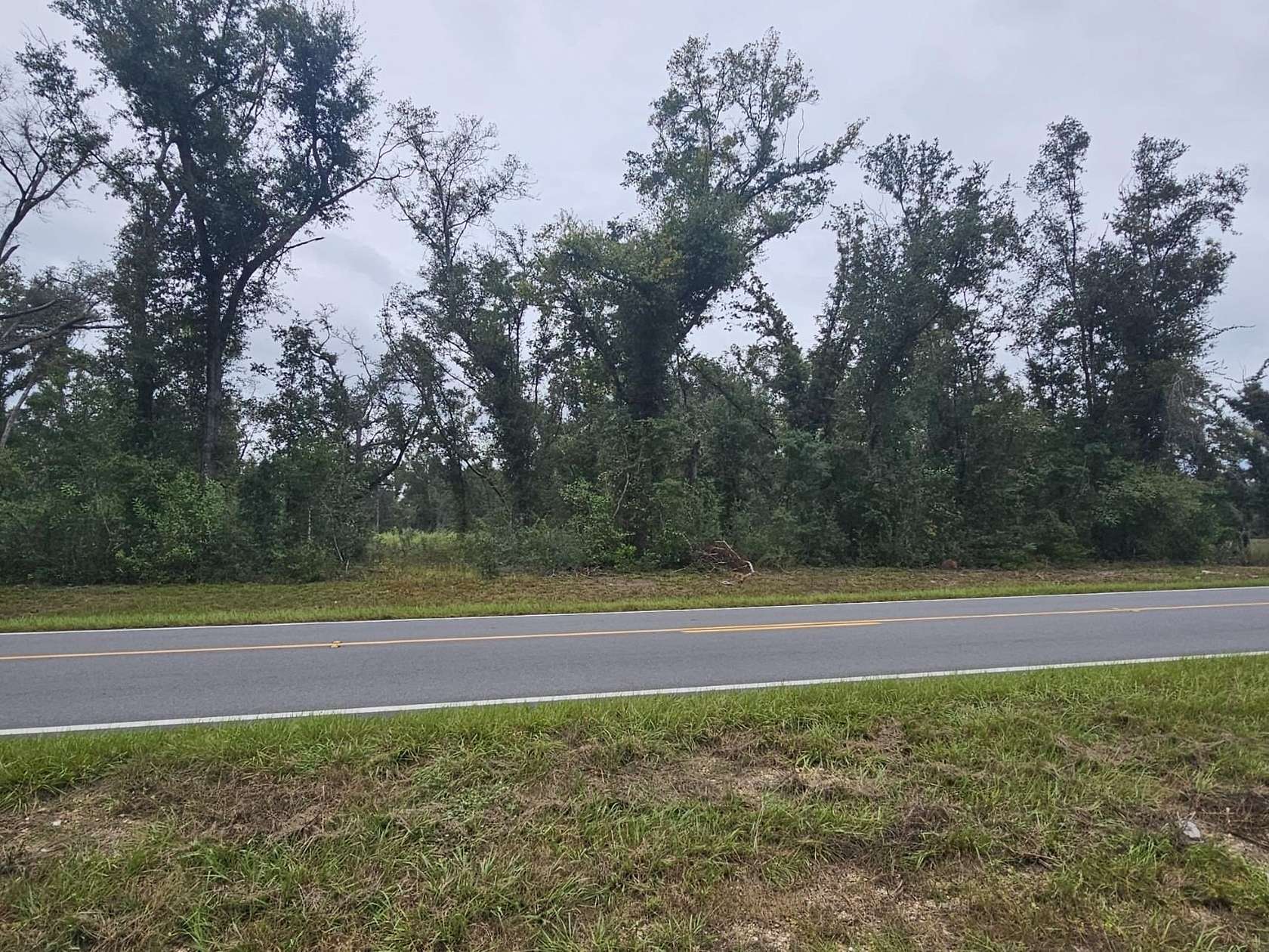 6.75 Acres of Residential Land for Sale in Mayo, Florida
