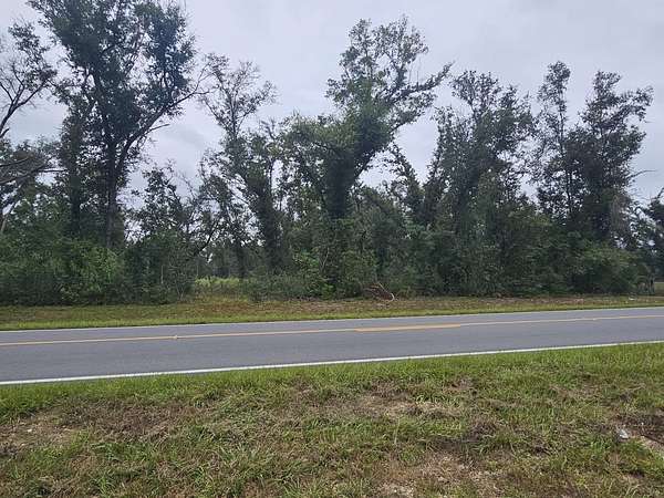 6.75 Acres of Residential Land for Sale in Mayo, Florida