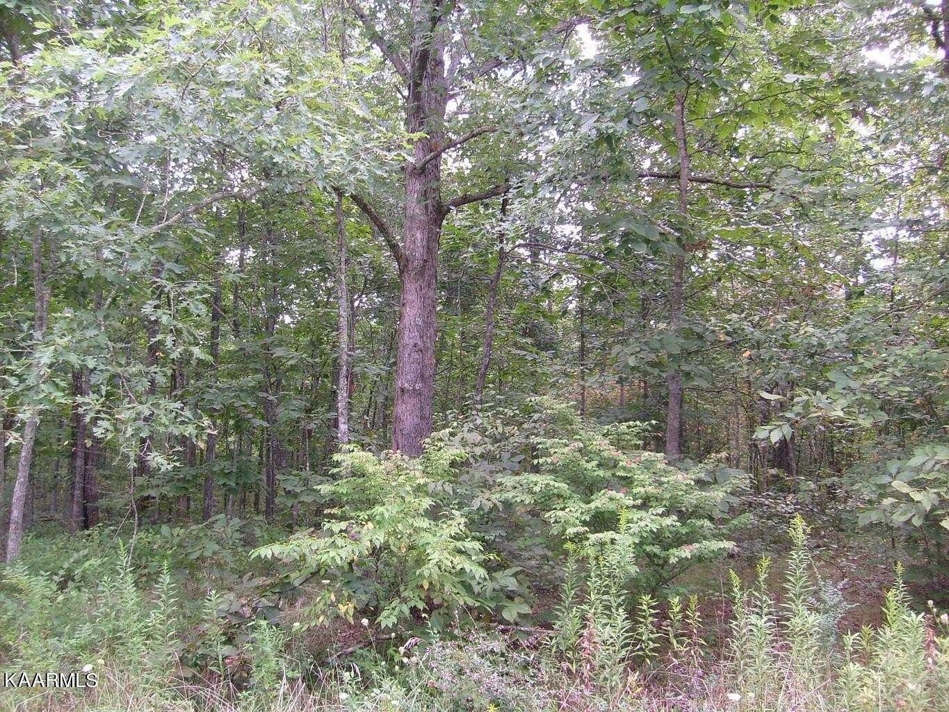 0.26 Acres of Residential Land for Sale in Crossville, Tennessee