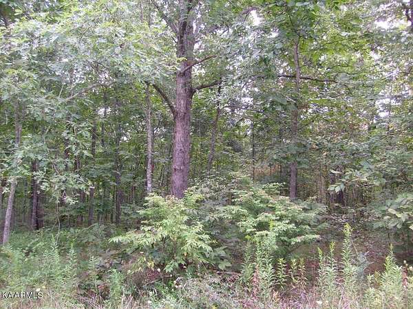 0.26 Acres of Residential Land for Sale in Crossville, Tennessee