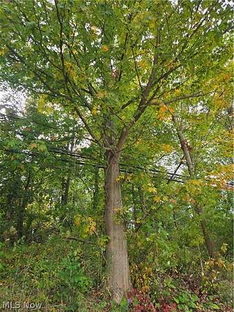 7.15 Acres of Land for Sale in Montville, Ohio