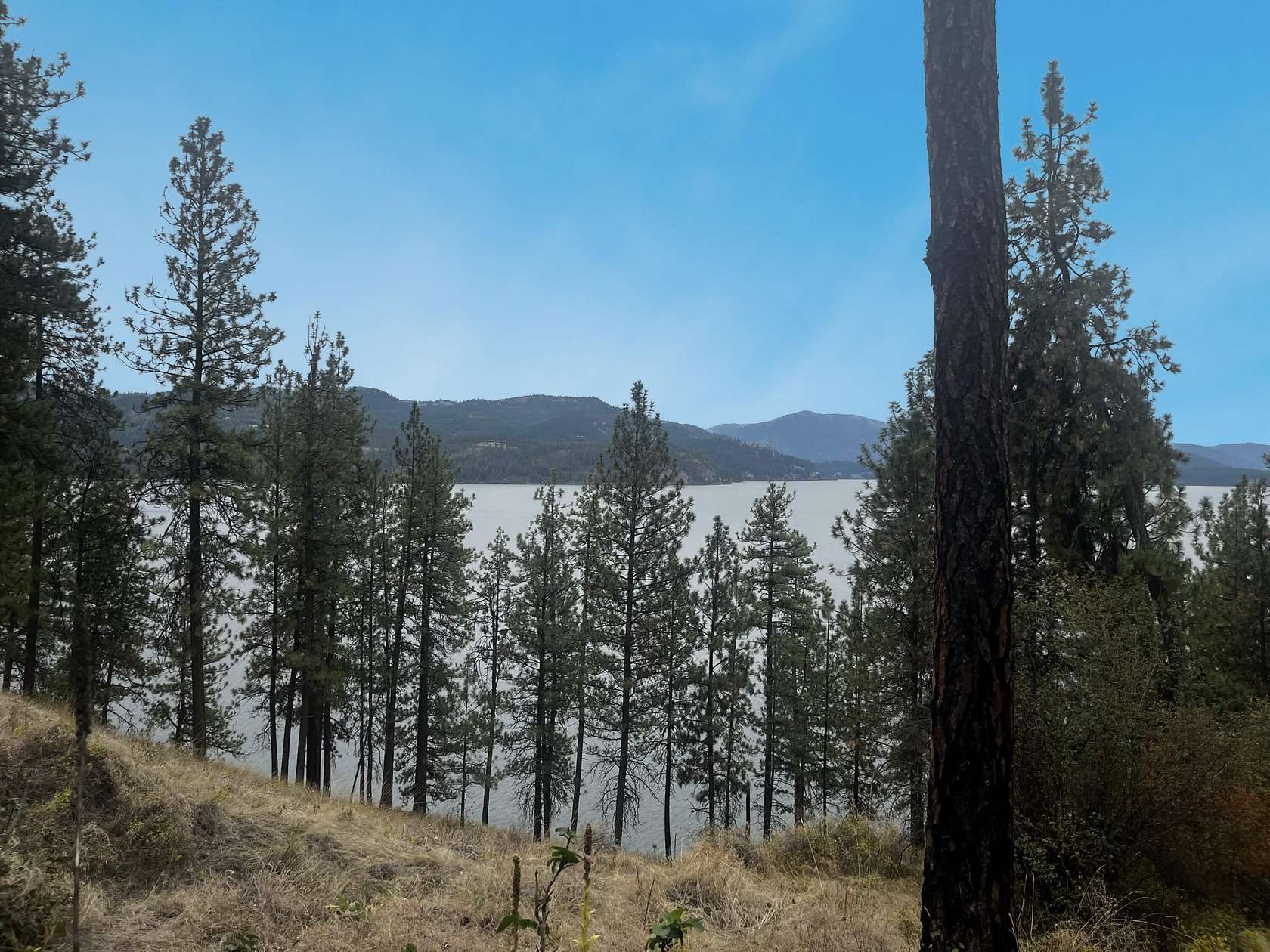14.6 Acres of Recreational & Residential Land for Sale in Kettle Falls, Washington