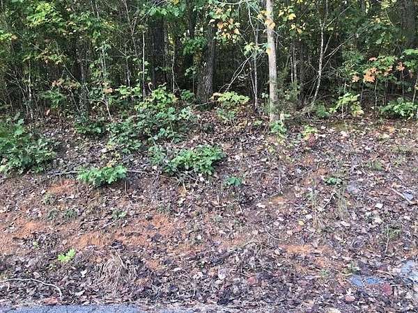 0.5 Acres of Residential Land for Sale in Jasper, Alabama
