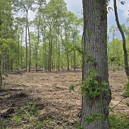 2.59 Acres of Land for Sale in Spurger, Texas