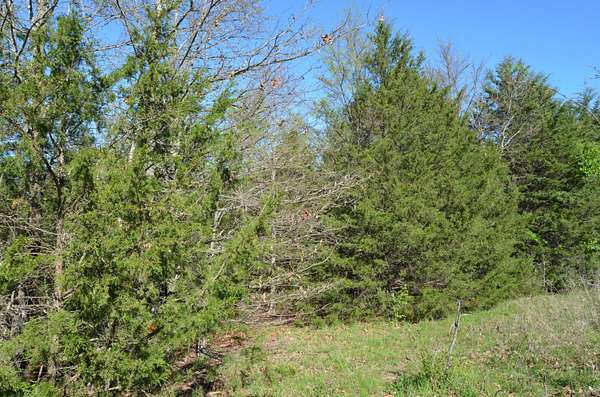 1.1 Acres of Residential Land for Sale in Lampe, Missouri