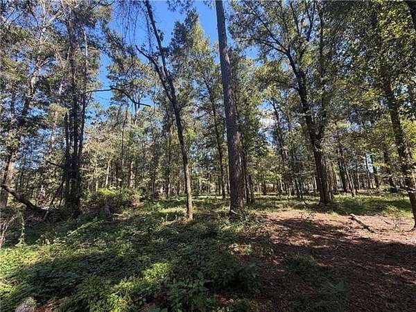 1 Acre of Residential Land for Sale in Hammond, Louisiana