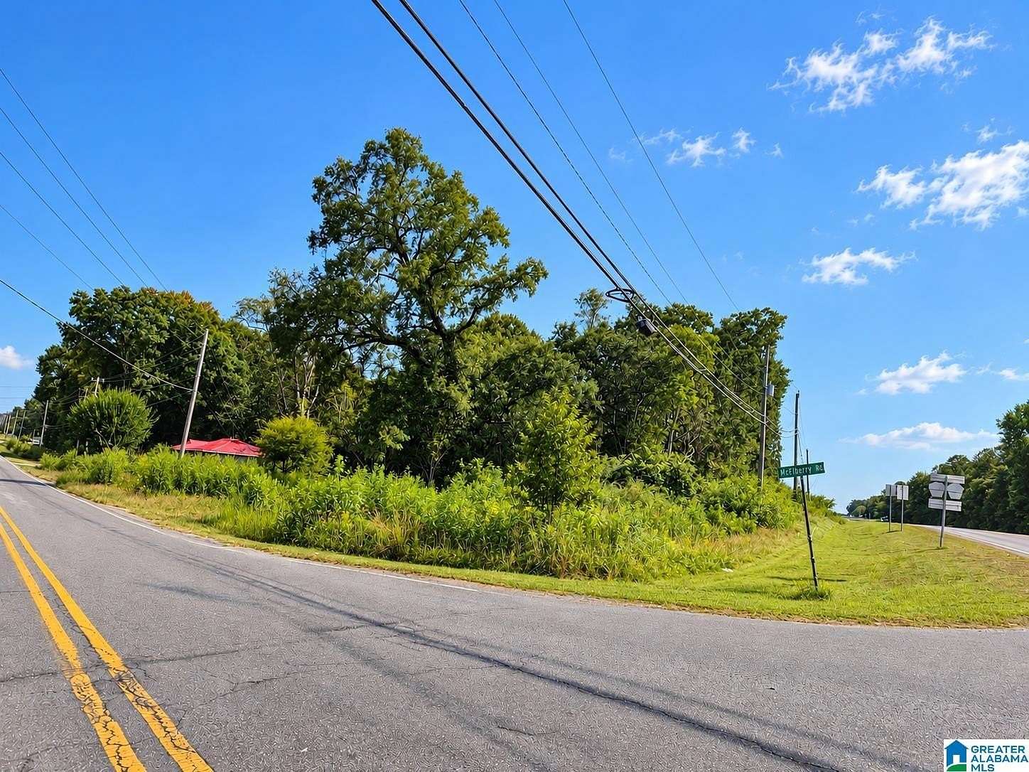 18.6 Acres of Land for Sale in Munford, Alabama