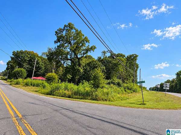 18.6 Acres of Land for Sale in Munford, Alabama