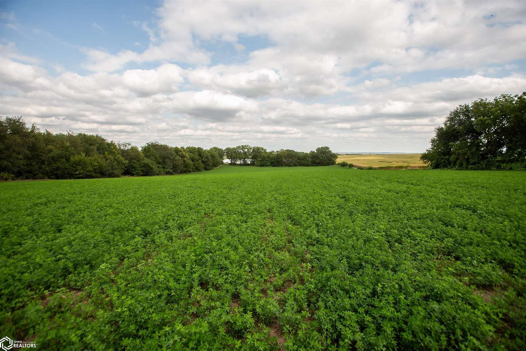 10.4 Acres of Land for Sale in Sidney, Iowa
