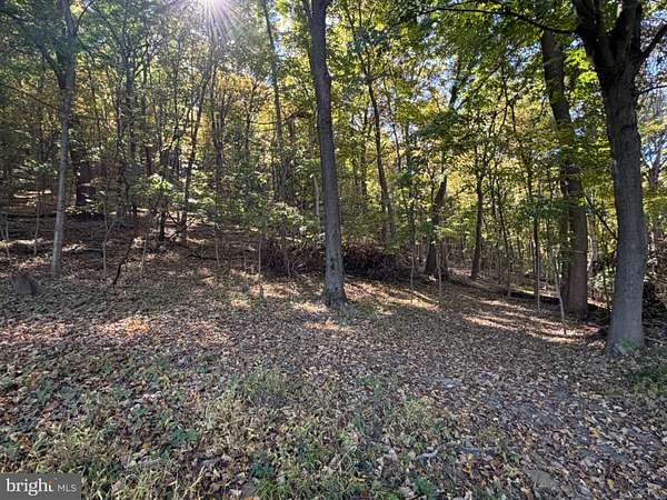 61 Acres of Recreational Land for Sale in Ridgeley, West Virginia