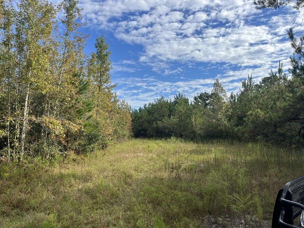 20 Acres of Recreational Land for Sale in Haleburg, Alabama