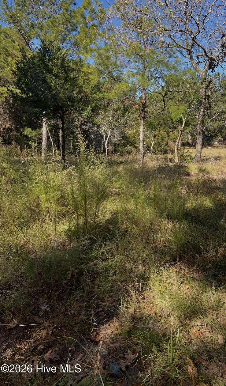 0.2 Acres of Residential Land for Sale in Calabash, North Carolina