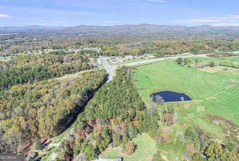 18.6 Acres of Commercial Land for Sale in Mount Airy, Georgia