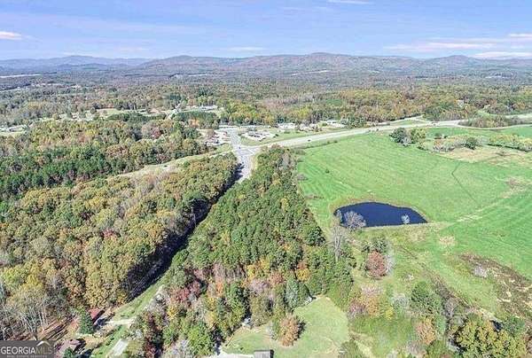 18.6 Acres of Commercial Land for Sale in Mount Airy, Georgia