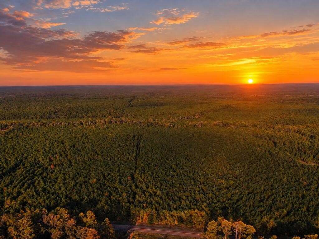 14.1 Acres of Recreational & Residential Land for Sale in San Augustine, Texas