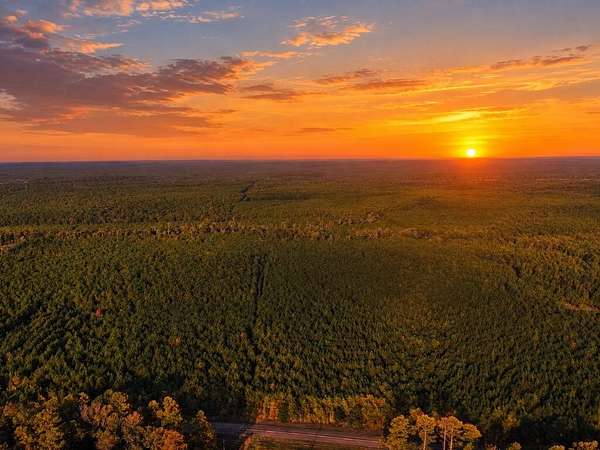 14.1 Acres of Recreational & Residential Land for Sale in San Augustine, Texas