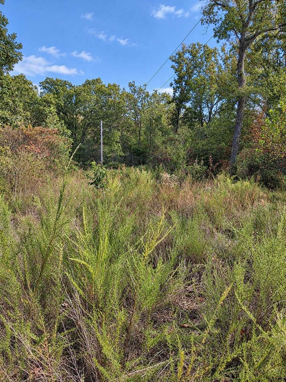 5 Acres of Residential Land for Sale in Elkland, Missouri
