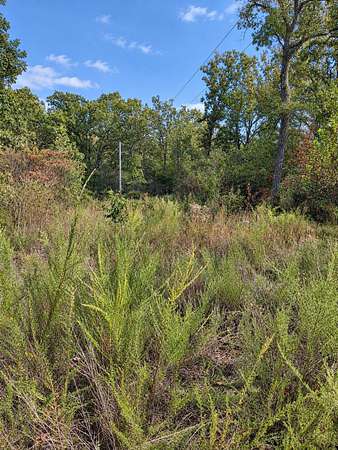 5 Acres of Residential Land for Sale in Elkland, Missouri