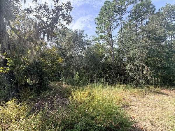 0.31 Acres of Land for Sale in Inverness, Florida