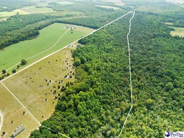 97 Acres of Land for Sale in Lamar, South Carolina