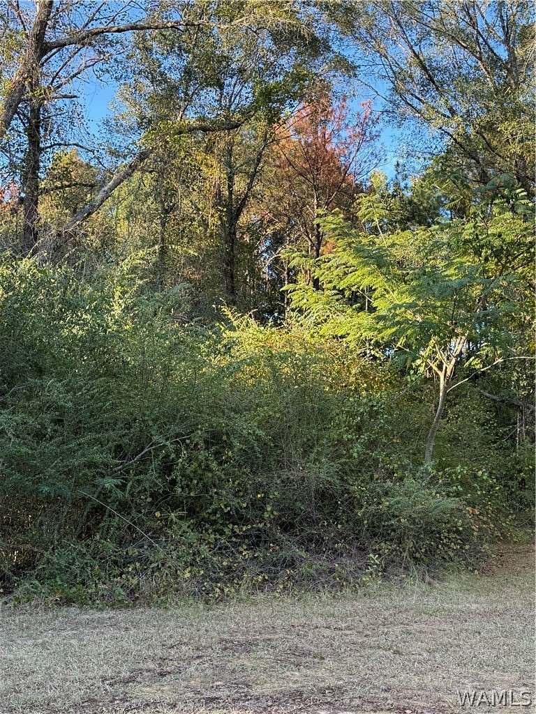 1 Acre of Land for Sale in Northport, Alabama