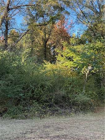 1 Acre of Land for Sale in Northport, Alabama